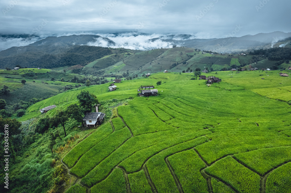 High angle view Green Rice field on terraced in Chiangmai