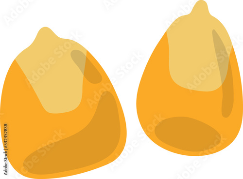 Corn seeds. Cartoon natural raw maize icon