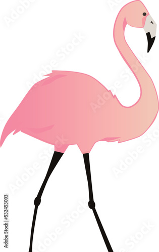 Pink flamingo icon. Romantic cute bird. Exotic animal