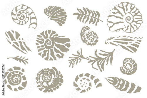 Set of silhouette stencil seashells and plants Hand drawn ocean shell or conch mollusk scallop Sea underwater animal fossil Nautical and aquarium, marine theme. Vector illustration