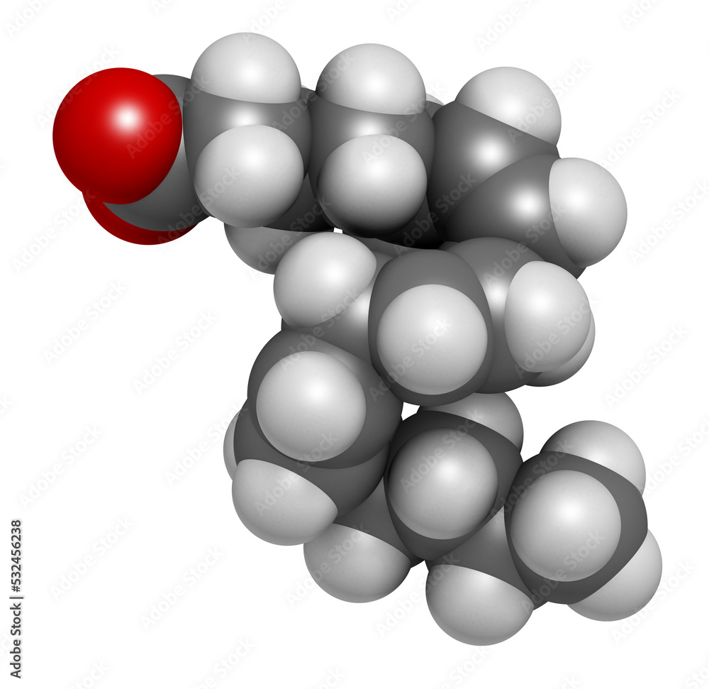 Gamma-linolenic acid (GLA, gamolenic acid) molecule. Omega-6 fatty acid present in many vegetable oils, including evening primrose, chia, hemp and borage seed oils, 3D rendering. Gamma-linolenic acid (GLA, gamolenic acid) molecule. Omega-6 fatty acid present in many vegetable oils, including evening primrose, chia, hemp and borage seed oils, 3D rendering.