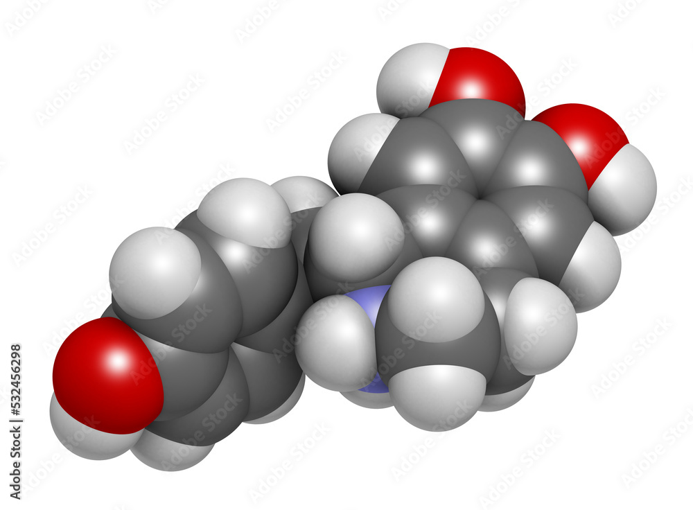 Higenamine herbal molecule. Present in some fat burner food supplements, 3D rendering. Higenamine herbal molecule. Present in some fat burner food supplements, 3D rendering.