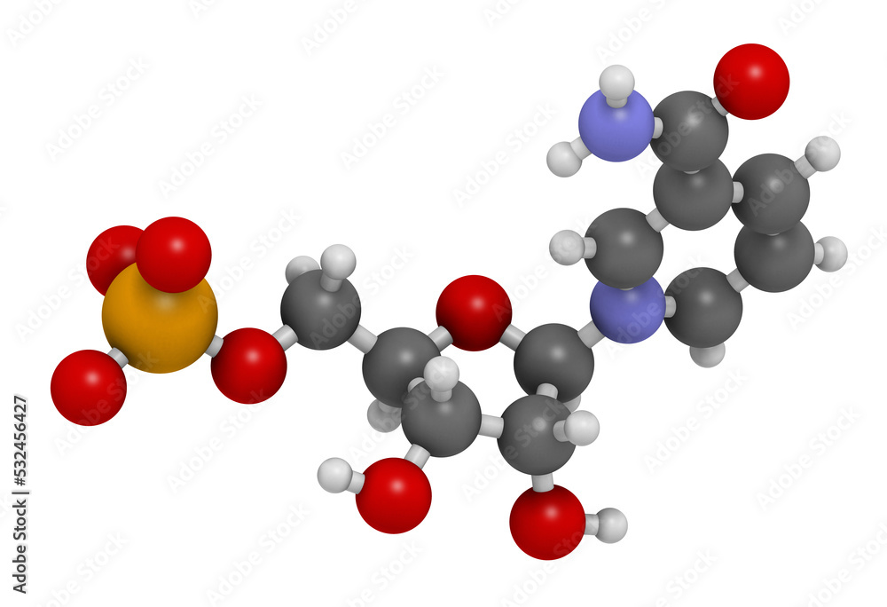 Nicotinamide mononucleotide molecule. Precursor of NAD+, 3D rendering.