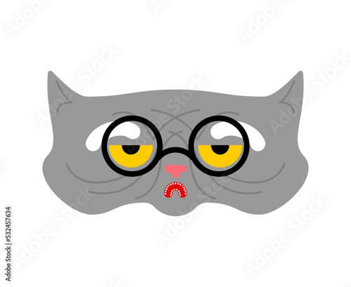 Old cat isolated. Grandpa cat. Vector illustration. © maryvalery
