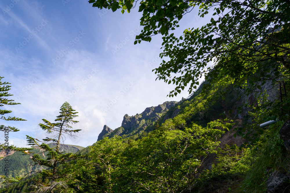 南八ヶ岳の景観