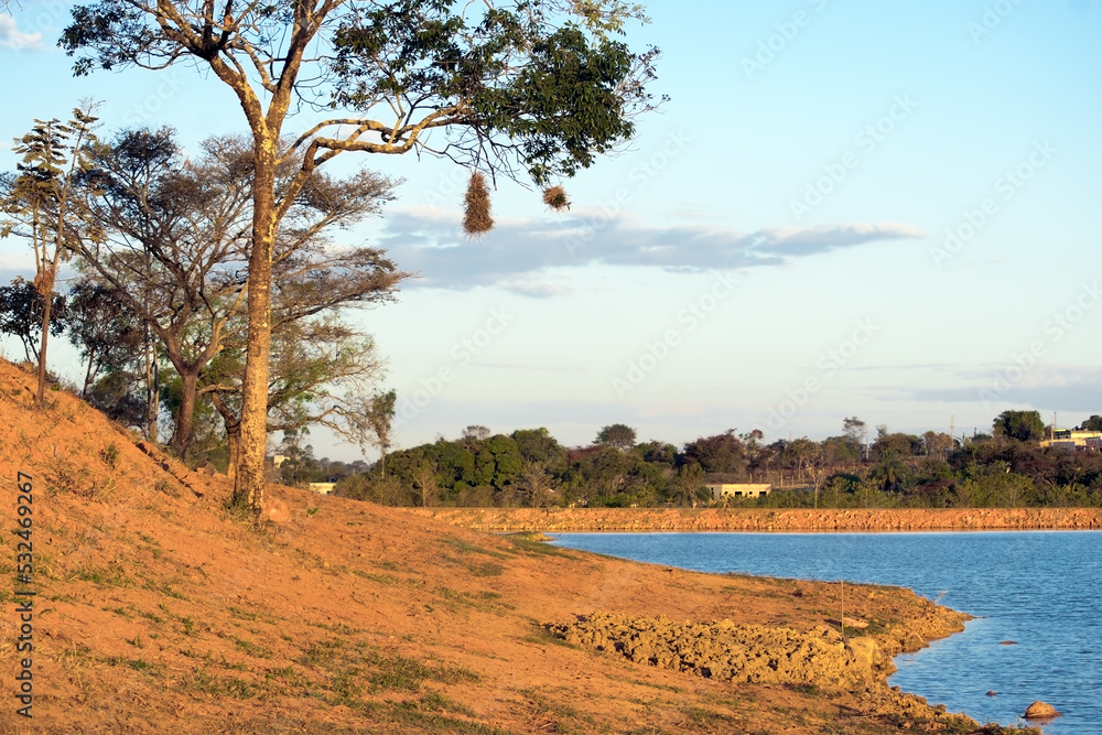 Linda paisagem com nuvens e árvores com ninho de joão-garrancho, com céu azul e limpo, em frente a lago no bairro Jardim das Oliveiras, Esmeraldas, Minas Gerais, Brasil. Linda paisagem com nuvens e árvores com ninho de joão-garrancho, com céu azul e limpo, em frente a lago no bairro Jardim das Oliveiras, Esmeraldas, Minas Gerais, Brasil.