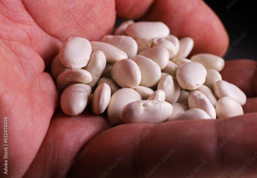 close-up of dry beans in the palm of a man close-up of dry beans in the palm of a man