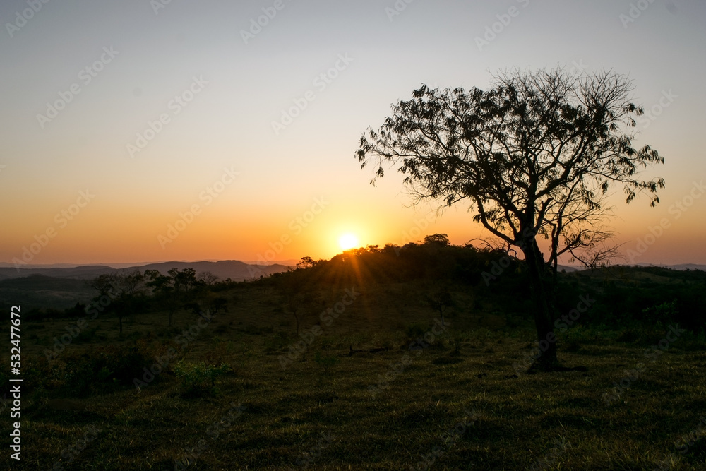 Lindo pôr do sol entre nuvens e silhueta de árvores ao ao longe, entardecer com céu dourado, de cima de monte no bairro Jardim das Oliveiras, Esmeraldas, Minas Gerais, Brasil.