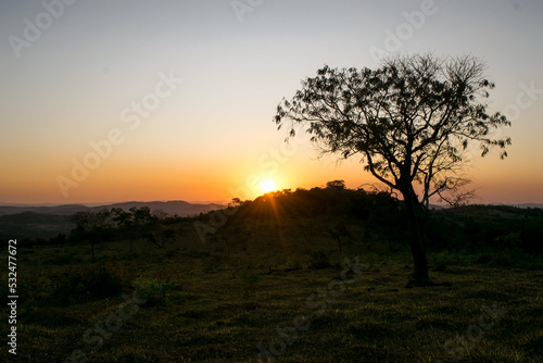 Lindo p  r do sol entre nuvens e silhueta de   rvores ao ao longe  entardecer com c  u dourado  de cima de monte no bairro Jardim das Oliveiras  Esmeraldas  Minas Gerais  Brasil.