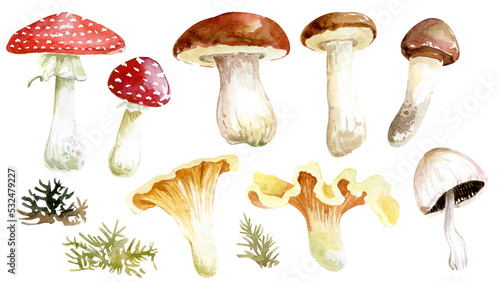 Watercolor clipart of their forest mushrooms, branches, leaves, moss. Compositions of fly agaric, white fungus, chanterelles. Autumn forest. Forest flora, thanksgiving day, village clipart 