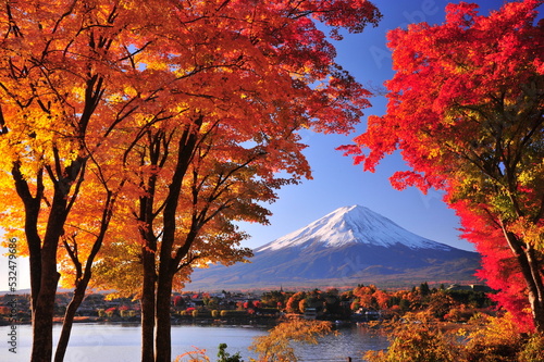 紅葉と富士山 