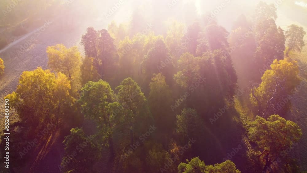 Flying over the trees with yellow leaves in a meadow in the park or forest on a sunny autumn morning. Aerial drone view. Bright sunlight, sunbeams,overexposure. Top view. Beautiful natural background Flying over the trees with yellow leaves in a meadow in the park or forest on a sunny autumn morning. Aerial drone view. Bright sunlight, sunbeams,overexposure. Top view. Beautiful natural background