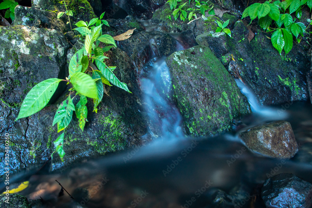 Naklejka premium Water flows between the stones.