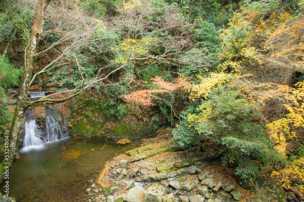 晩秋の犬鳴渓谷(大阪府泉佐野市)