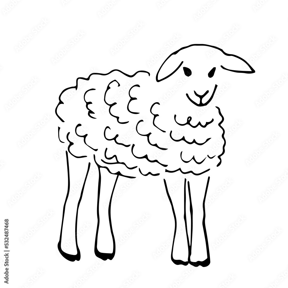 Simple black outline vector drawing. Lamb, young sheep. Farmyard, pets. Ranch and village. Animals and nature. Sketch in ink. Simple black outline vector drawing. Lamb, young sheep. Farmyard, pets. Ranch and village. Animals and nature. Sketch in ink.