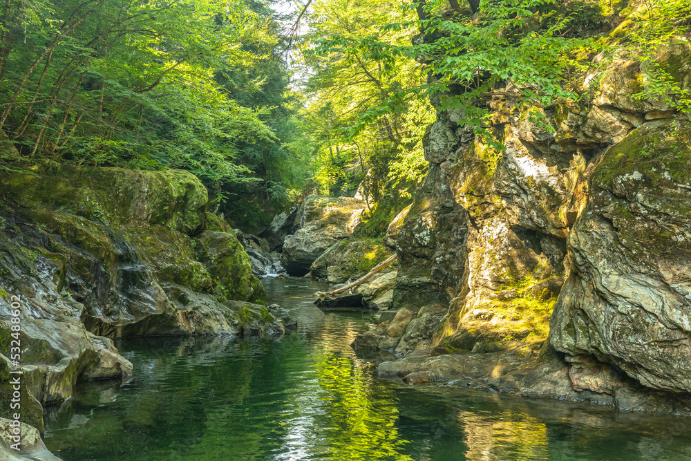A beautiful gentle river with emerald green pools of water under the trees in Vermont. This hidden stream is a relaxing hideaway location to getaway. Landscape nature A beautiful gentle river with emerald green pools of water under the trees in Vermont. This hidden stream is a relaxing hideaway location to getaway. Landscape nature