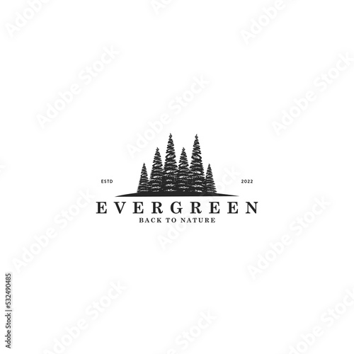 silhouette evergreen iconic logo design vector, pine larch cypress tree forest logo design with line art, hipster and minimalist styles isolated on white background