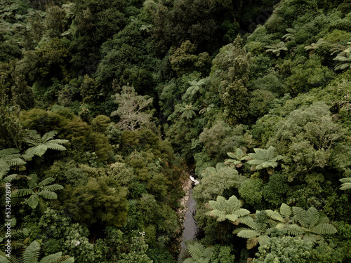 kaiate falls in the middle of the forest photo