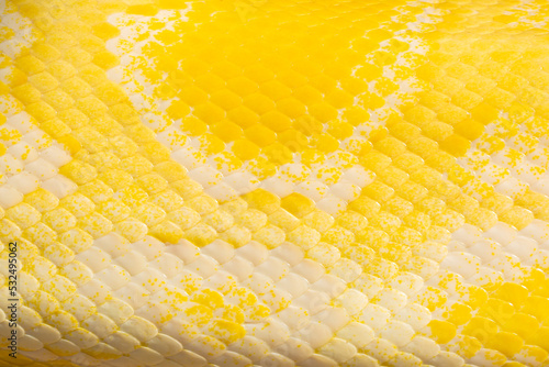 Yellow snake skin texture,Leather products. Yellow leather,Snake skin 