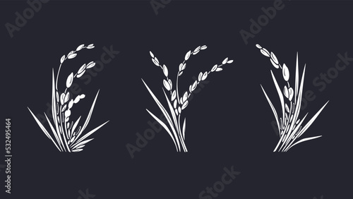 Rice plant. Graphic set. Vector white grais, bunch