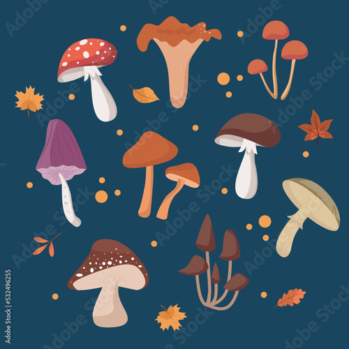 Different mushrooms set  with autumn leaves on dark blue background vector illustration