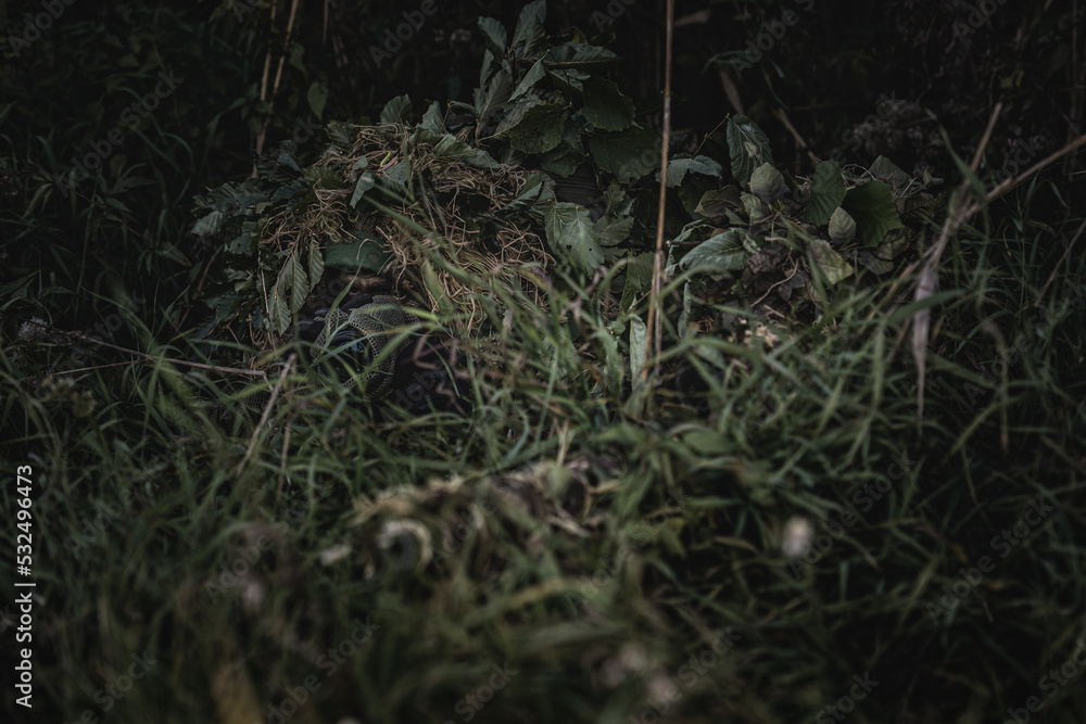 Obraz premium VDV special forces soldiers with rifles in woodland