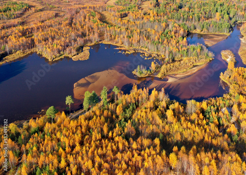 Autumn colorful landscape. Autumn time. Aerial photography of landscape in Western Siberia. Bird's eye view.