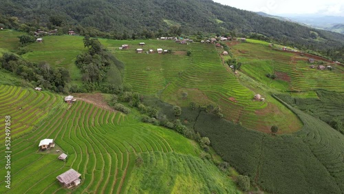 High aerial view of Pabongpaing, Chaingmai, Thailand in rainy season of green field rice farm. local travel video for create content of Thailand. 