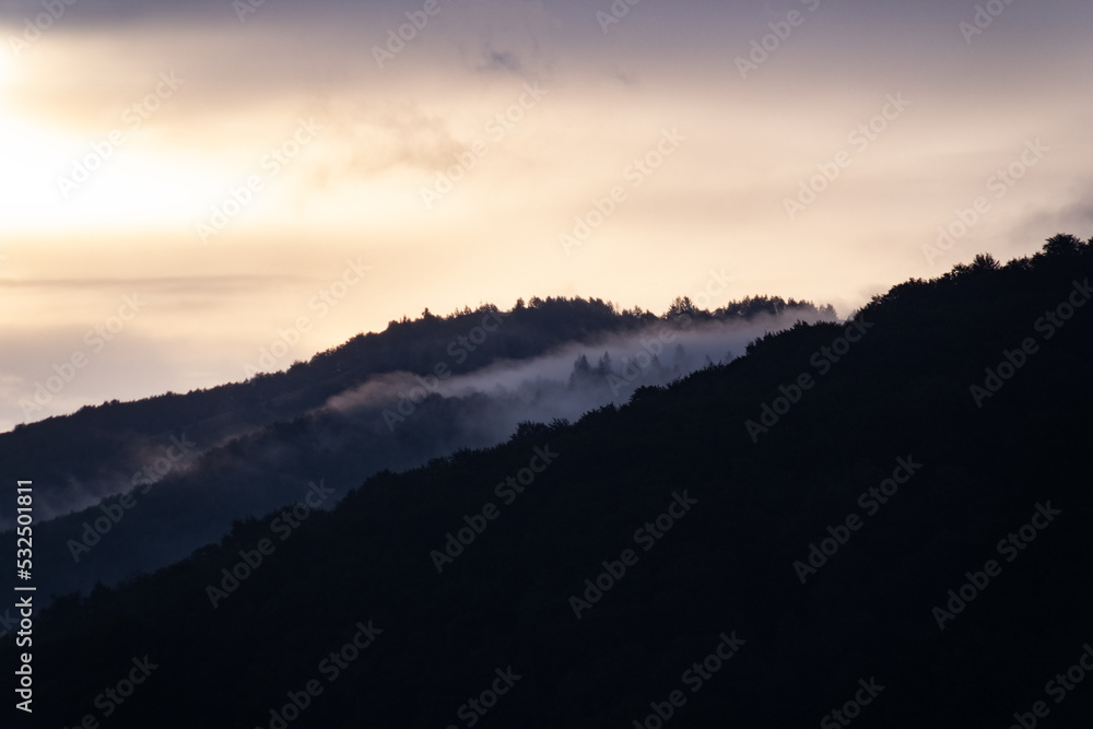 Obraz premium low fog clouds in the mountain forest during a rain at sunrise