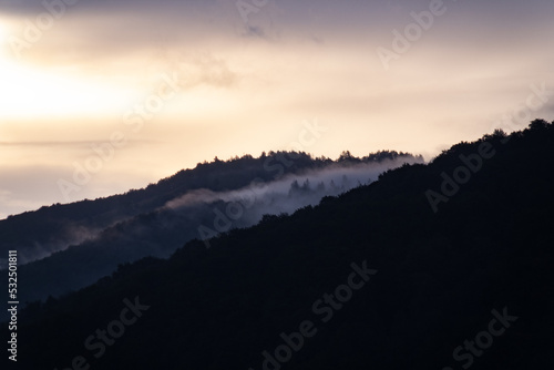 low fog clouds in the mountain forest during a rain at sunrise