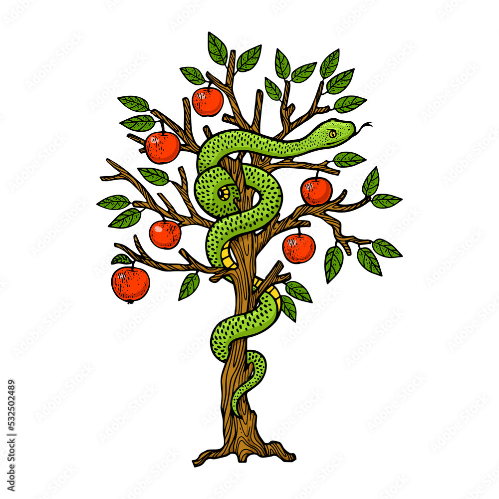 Serpent In Tree Serpent on apple tree sketch PNG illustration with transparent ...