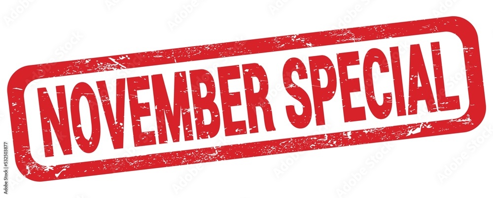 NOVEMBER SPECIAL text written on red rectangle stamp. NOVEMBER SPECIAL text written on red rectangle stamp.