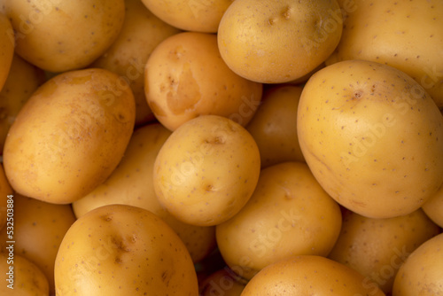 A group of fresh tasty potato as  background.