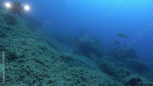 Wallpaper Mural Underwater videographer taking footage Torontodigital.ca