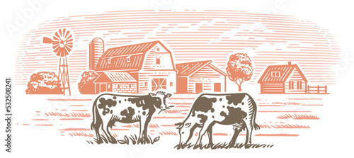 Fotografia, Obraz Cows on farm. Hand drawn sketch livestock