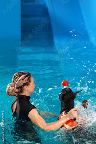 Foto Dog in life jacket swim in the swimming pool with coach