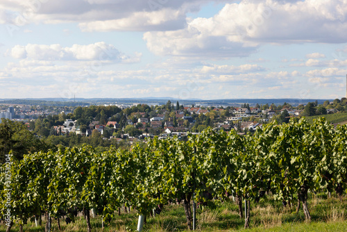 A View from the Jägerhaus, Heilbronn, Baden-Württemberg, Germany, Europe