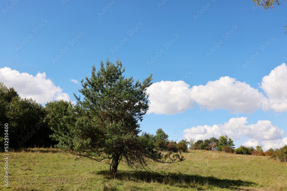 The Waldheide in Heilbronn, Baden-Württemberg, Germany, Europe. The Waldheide in Heilbronn, Baden-Württemberg, Germany, Europe.