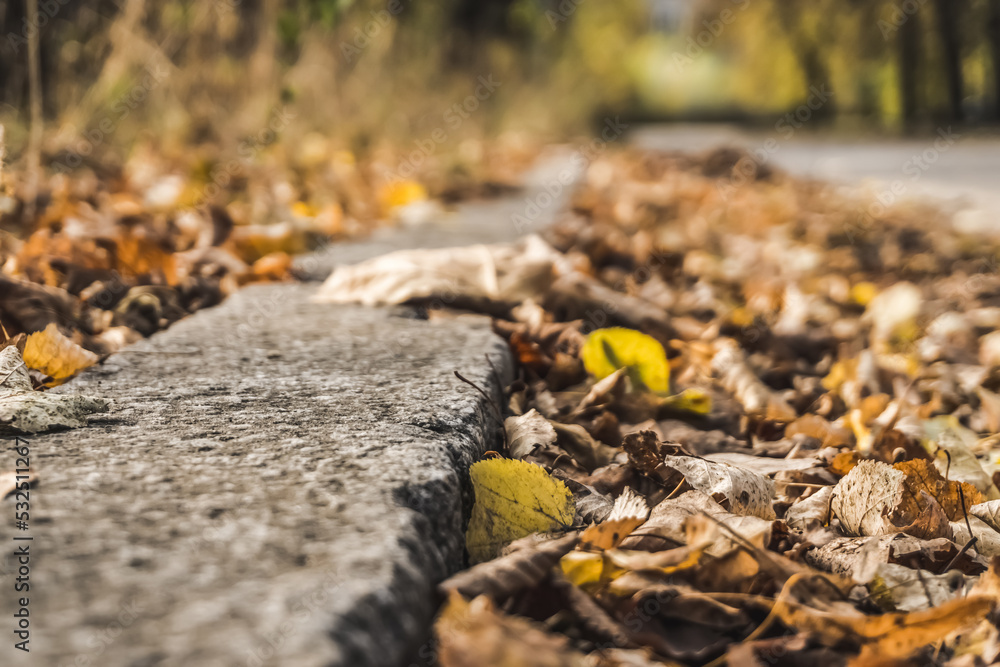 Colorful yellow autumn foliage on the side of the road near the curb in close-up, warm atmosphere, with a blurred background Colorful yellow autumn foliage on the side of the road near the curb in close-up, warm atmosphere, with a blurred background
