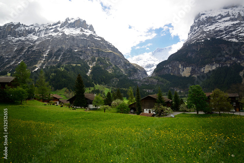 An Alpine scene at Grindelwald, Switzerland