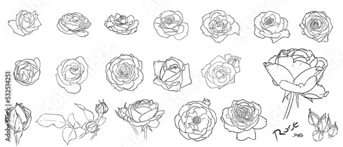 set of black and white flowers (roses)