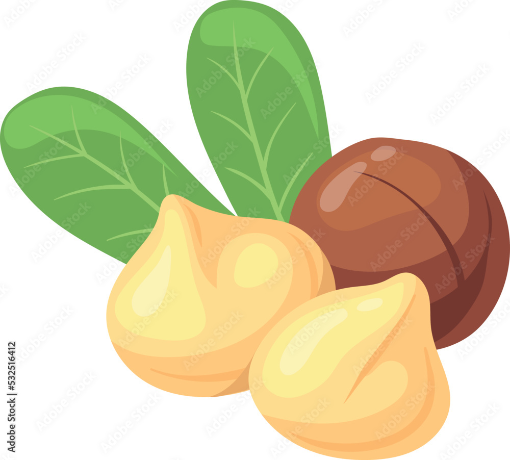 Macadamia nut cartoon icon. Healthy protein food Macadamia nut cartoon icon. Healthy protein food