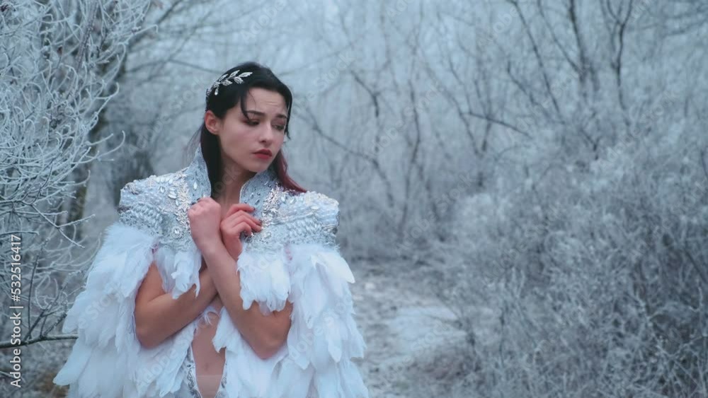 Video with noise. Portrait fantasy woman snow fairy princess, snow queen walks in winter snowy forest nature. White long dress, medieval cape bird feathers. Smiling happy face. hoarfrost branch tree. Video with noise. Portrait fantasy woman snow fairy princess, snow queen walks in winter snowy forest nature. White long dress, medieval cape bird feathers. Smiling happy face. hoarfrost branch tree.