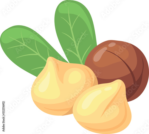 Macadamia nut cartoon icon. Healthy protein food
