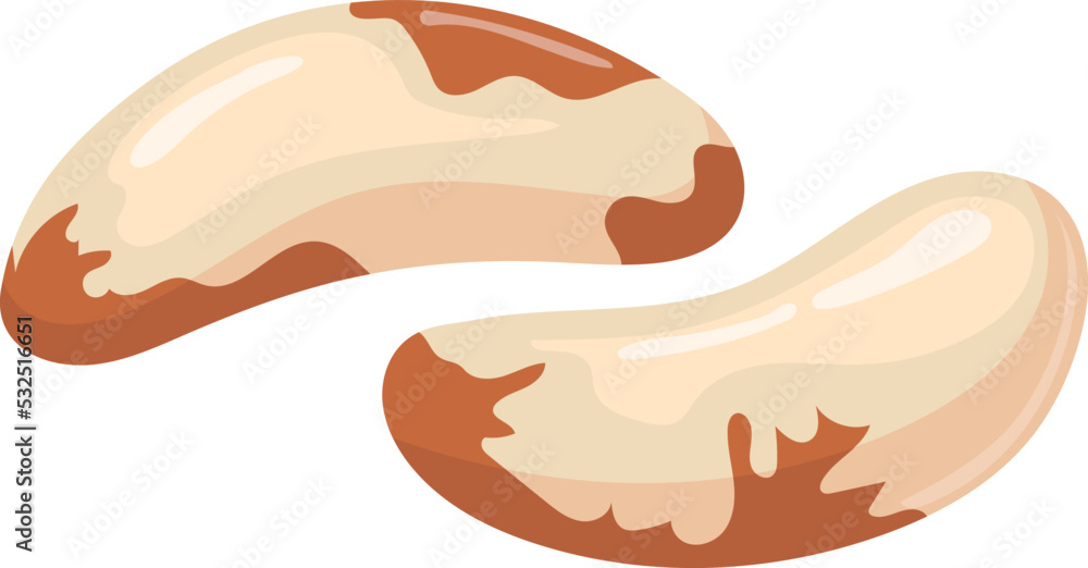 Brazilian nut icon. Healthy diet. Raw vegan food Brazilian nut icon. Healthy diet. Raw vegan food