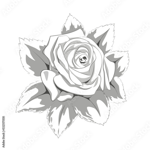 Abstract vector rose with leaves isolated on white background. Vintage decorative vector element for tattoo greeting card, wedding invitation. Botanical sketch, floral illustration for Valentine's day