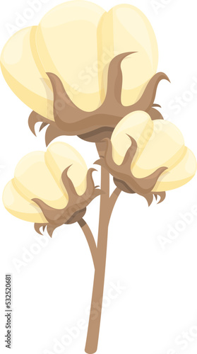 Soft cotton icon cartoon vector. Organic flower. Plant fiber