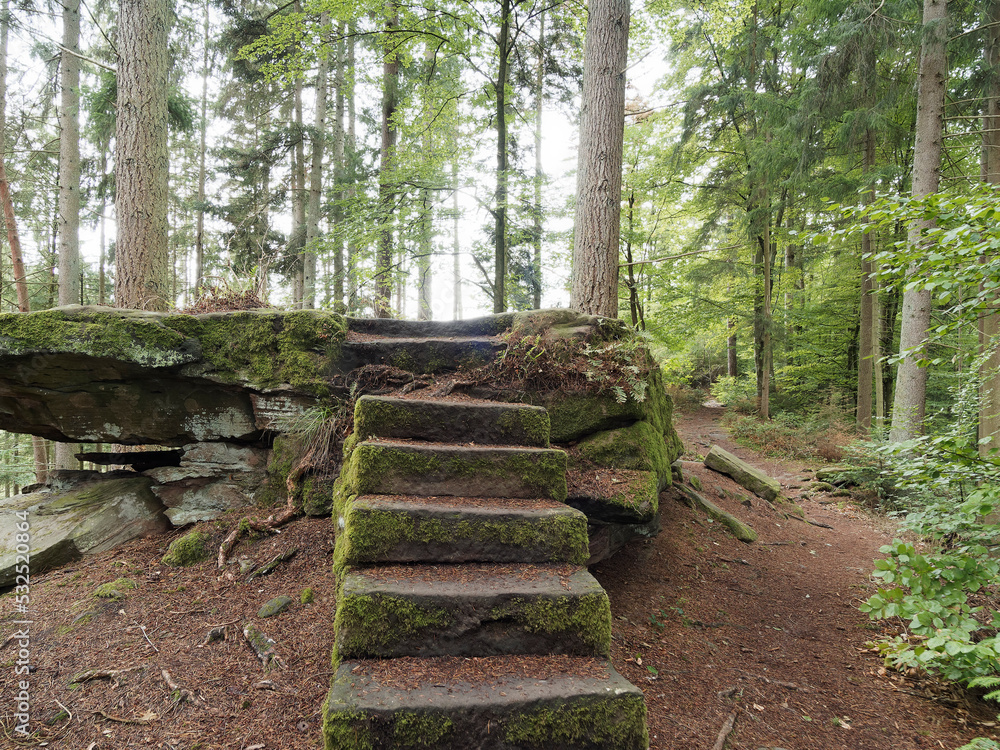 Burgruine Waldeck im Bergwald Neubulach auf einem zentralen Felsen, ruine und Überreste eines Baus, bestehend aus einem Wohngebäude und dem Bergfried Burgruine Waldeck im Bergwald Neubulach auf einem zentralen Felsen, ruine und Überreste eines Baus, bestehend aus einem Wohngebäude und dem Bergfried