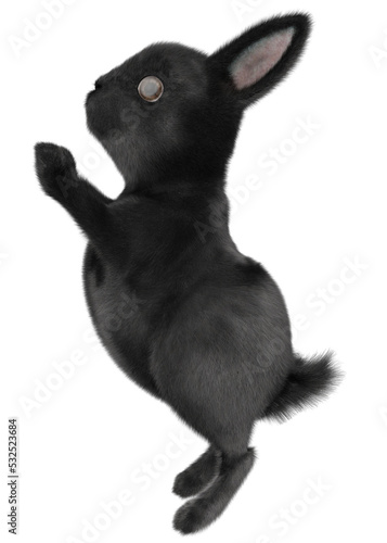 3D Black bunny