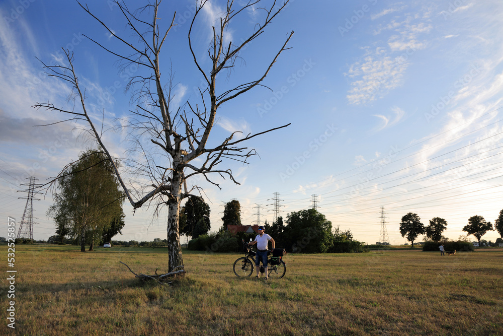 Mężczyzna z rowerem turystycznym przed uschniętym drzewem brzozy.	
 - obrazy, fototapety, plakaty 
